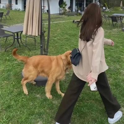 爱斯基摩人内尔
